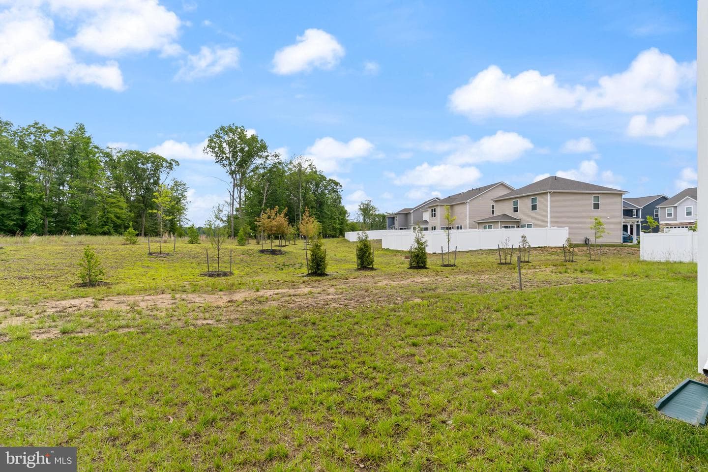 404 Mossy Grove Ln photo 35