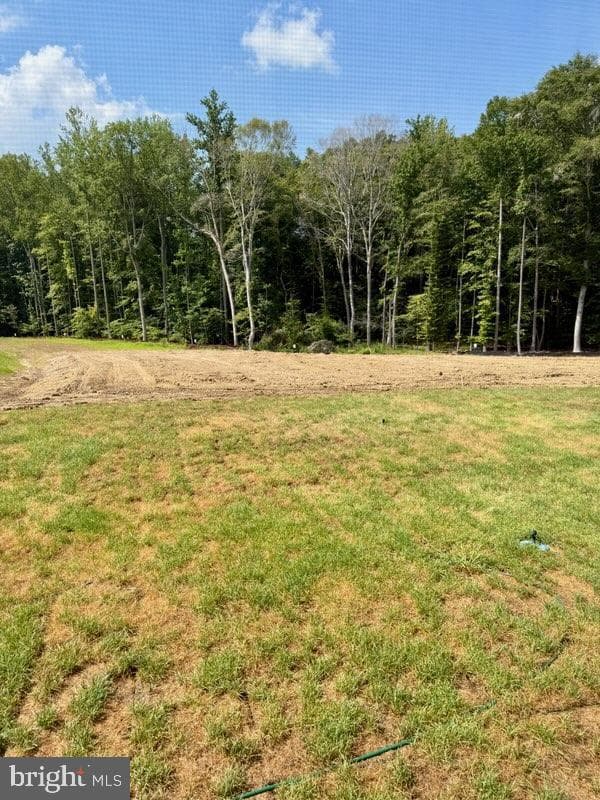 685 Hoot Owl Lane photo 42