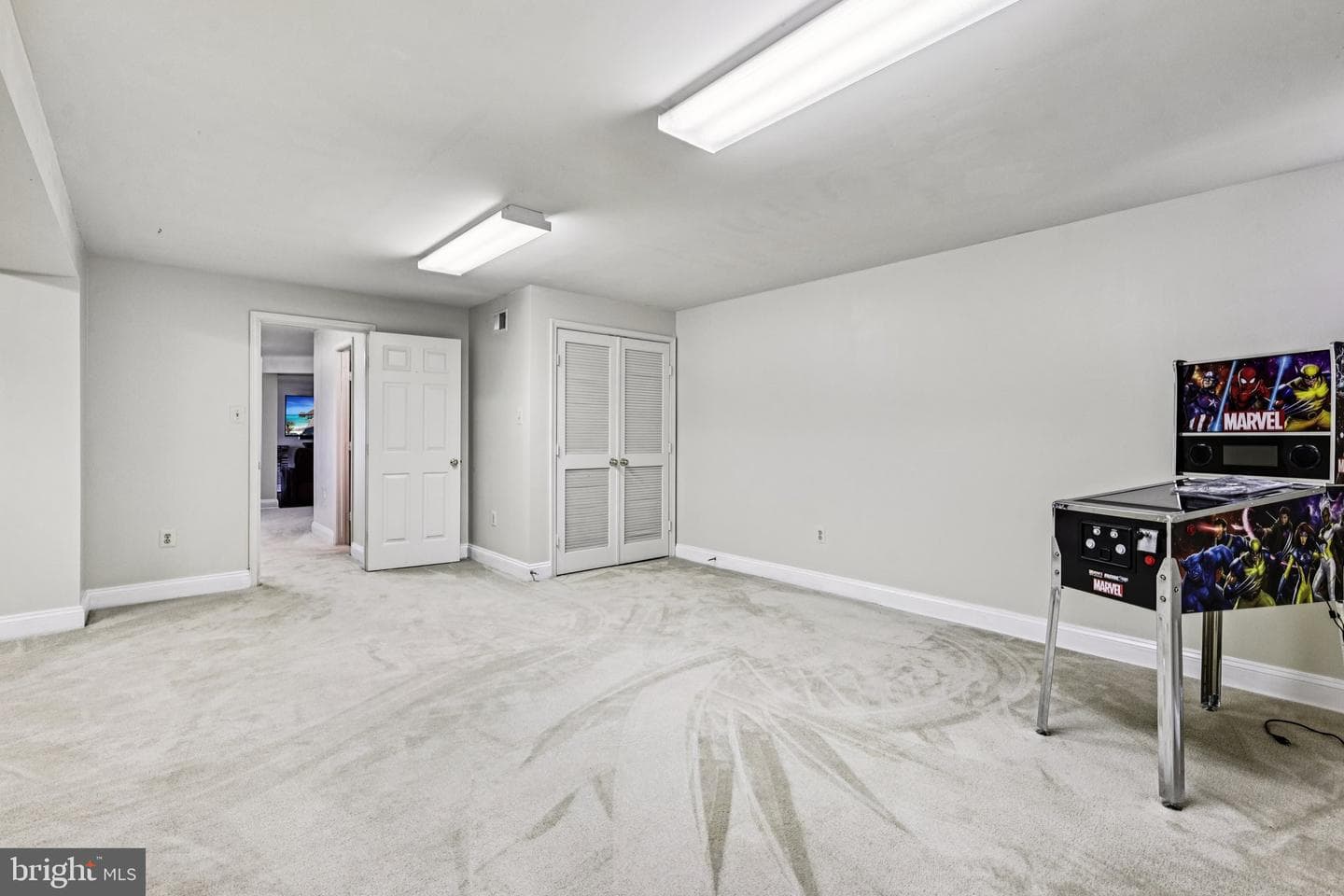 11291 Wildmeadows Street photo 35