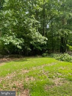 6230 Bryantown Drive photo 4