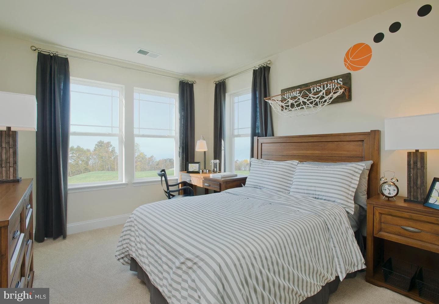 10751 Borealis Ln photo 13