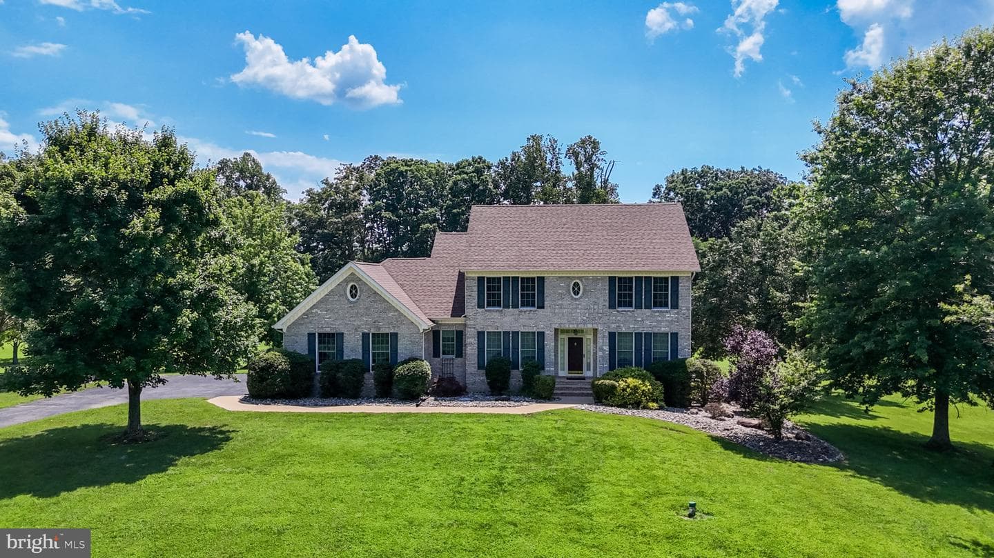 11803 Adrian Lane photo 6