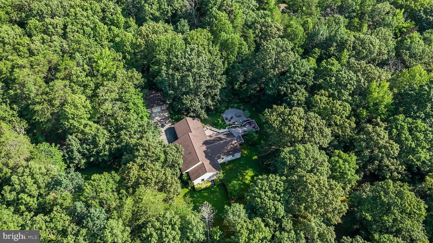 4550 Branchwood Place photo 7