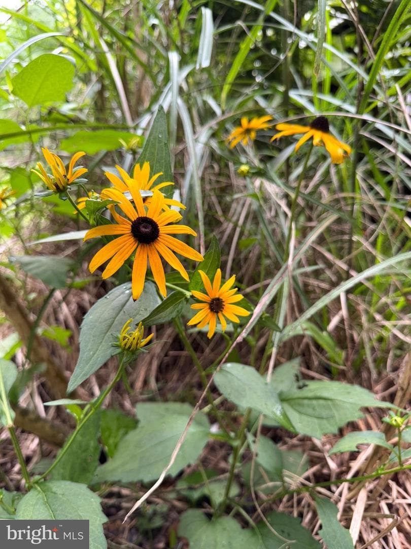 12125 Bunkys Place photo 126