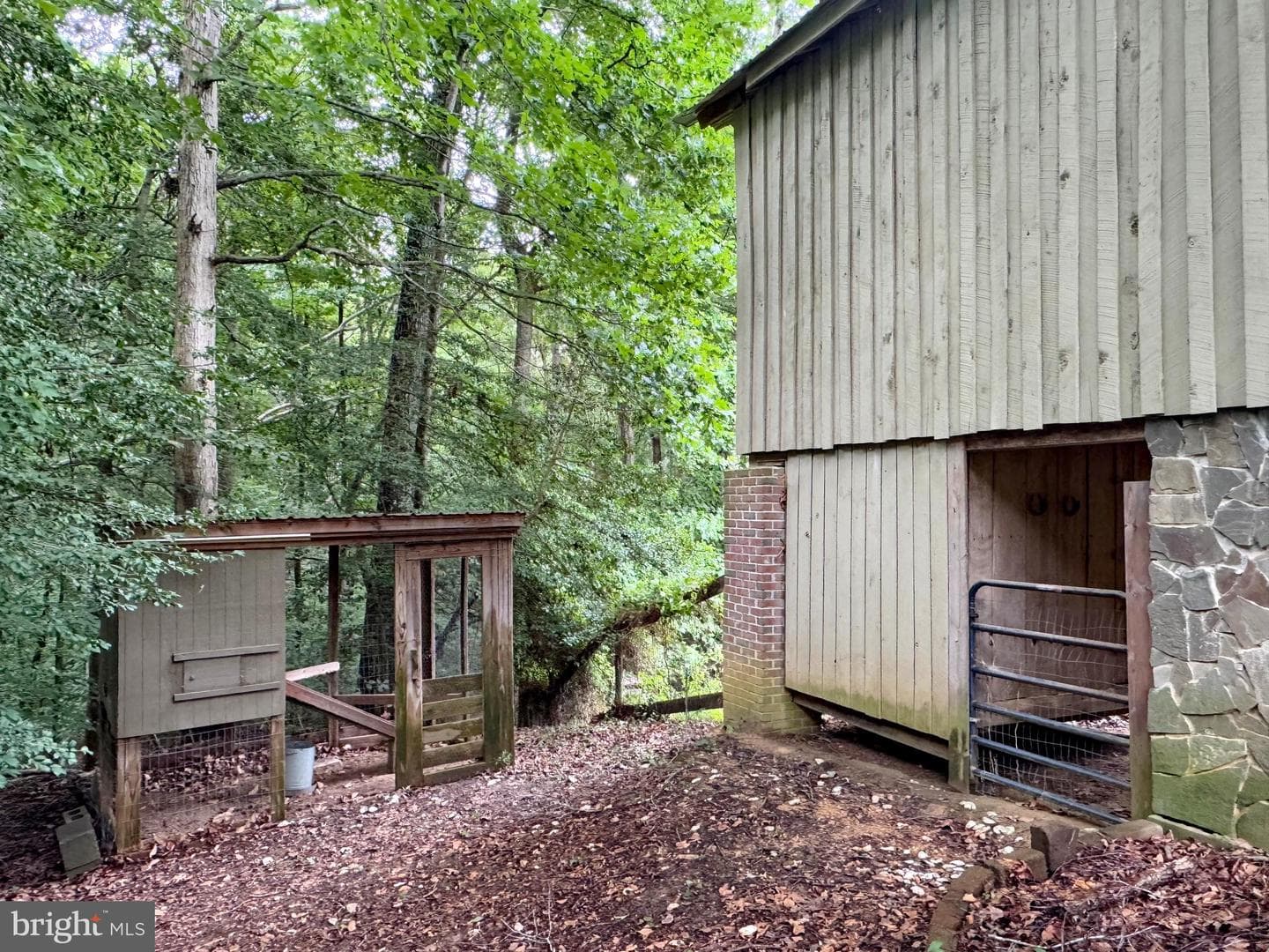 12125 Bunkys Place photo 133