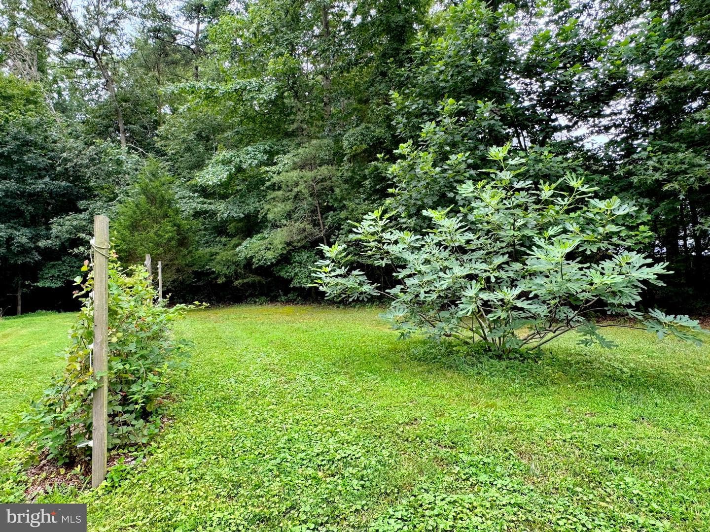 12125 Bunkys Place photo 141