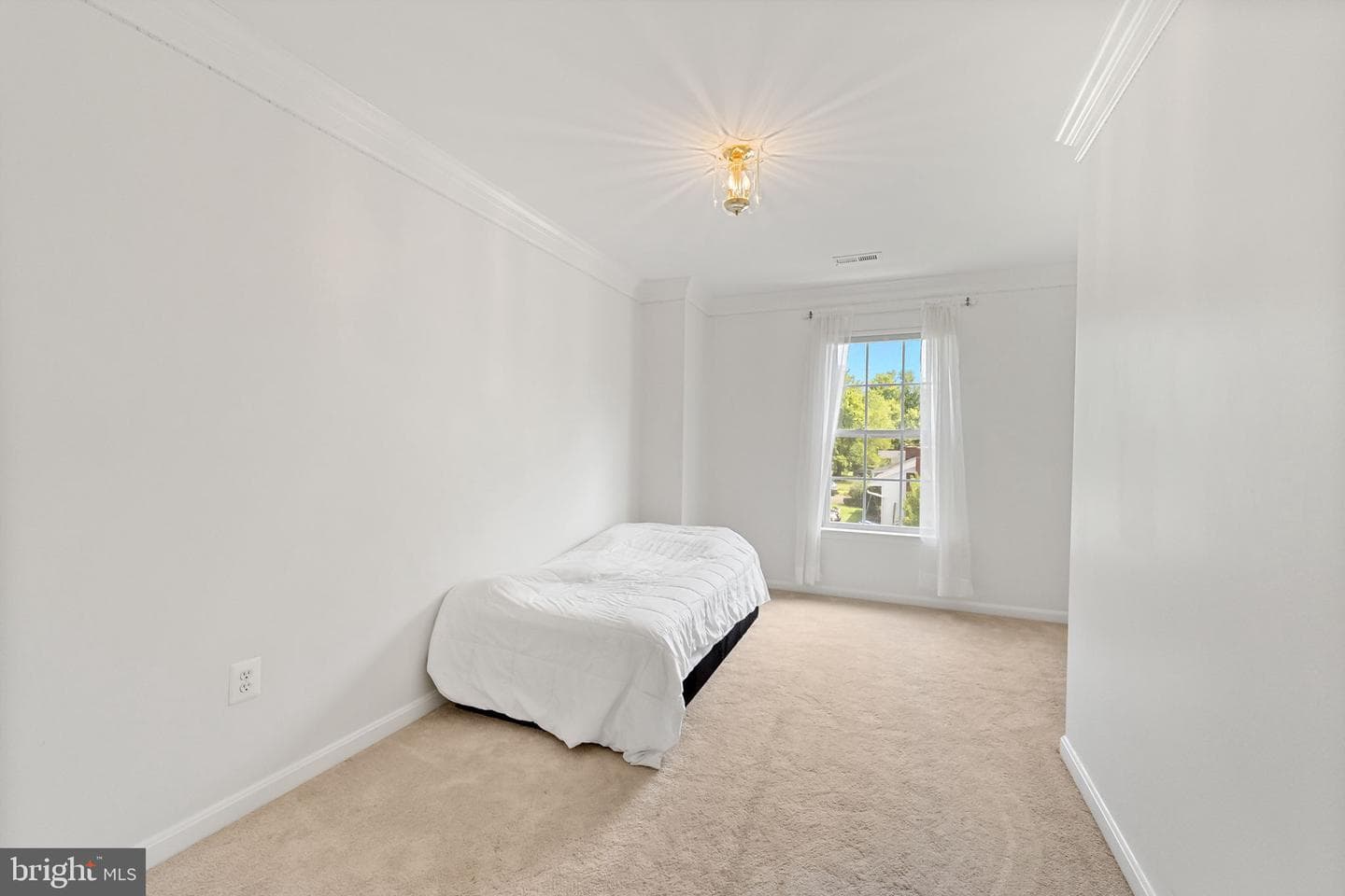 10975 Sams Place photo 22