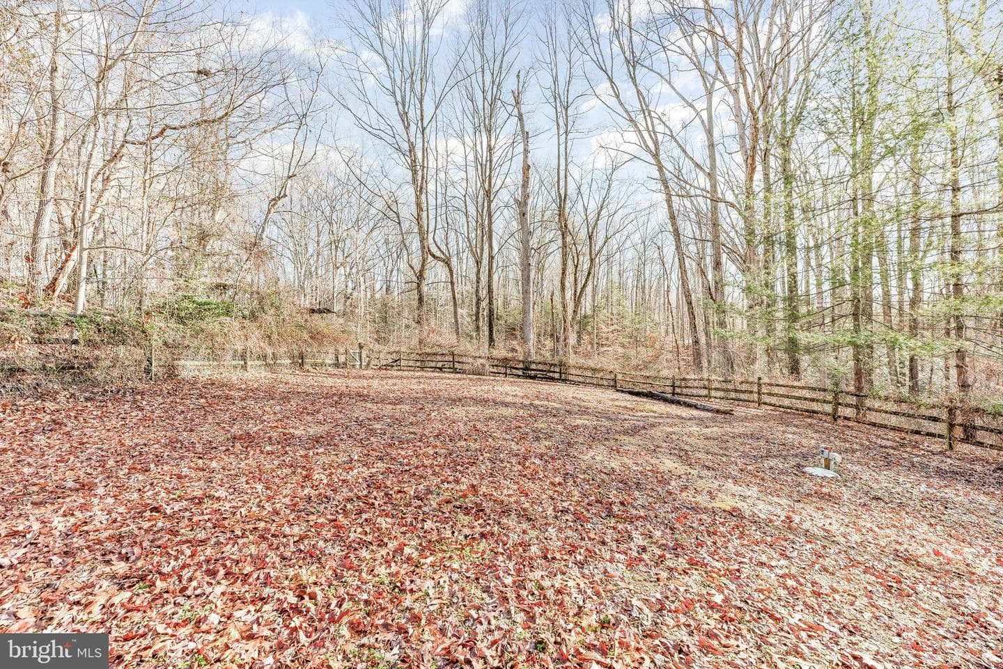 13988 Oaks Road photo 38