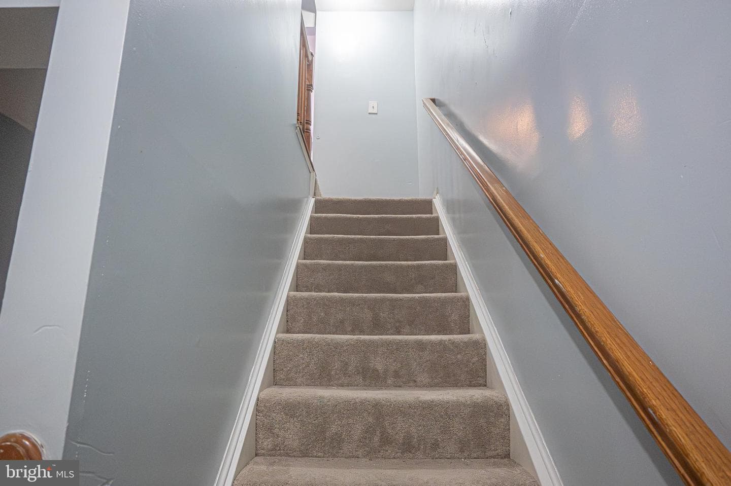 2736 Albermarle Place photo 27