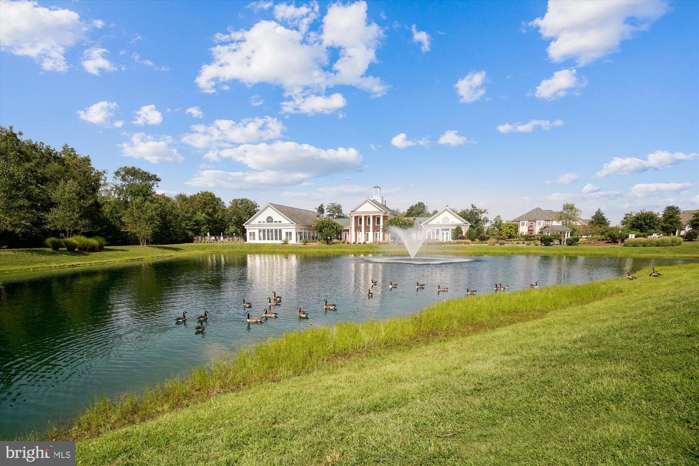 3163 Shadow Park Lane photo 46