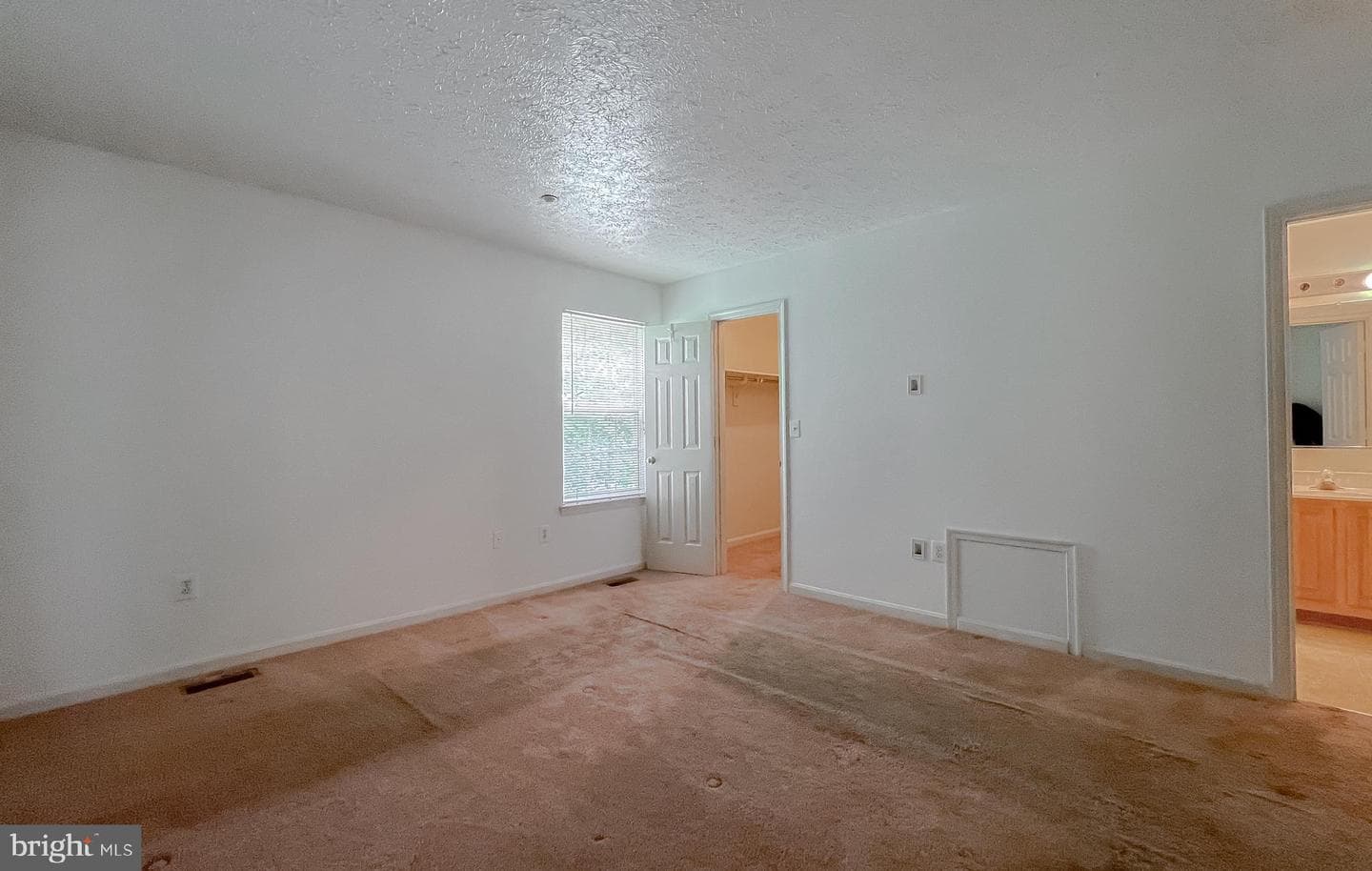 11994 Calico Woods Place photo 17