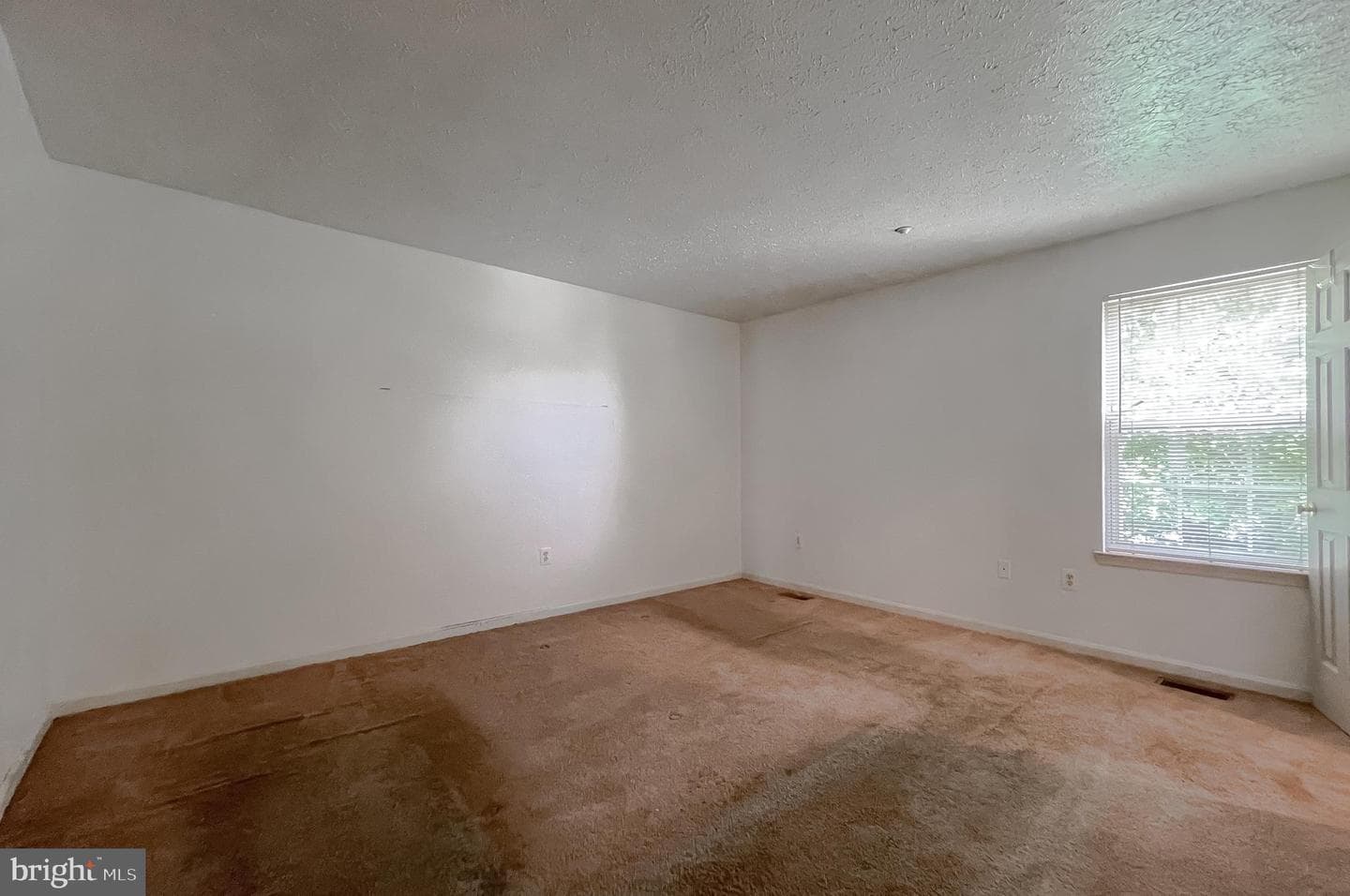 11994 Calico Woods Place photo 19