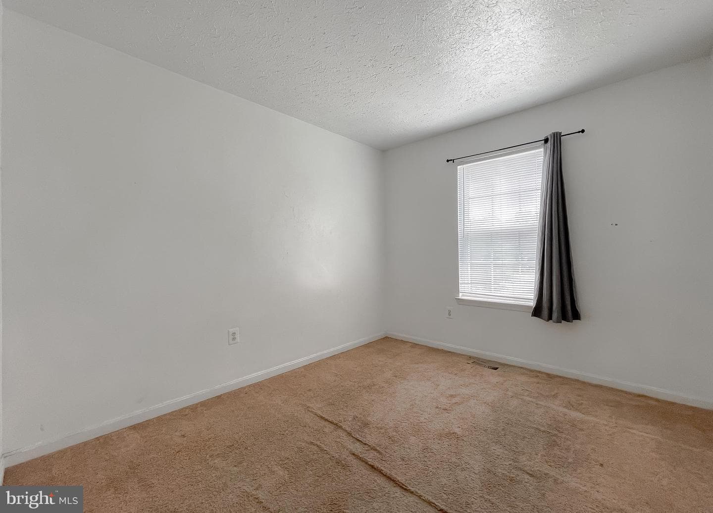11994 Calico Woods Place photo 26