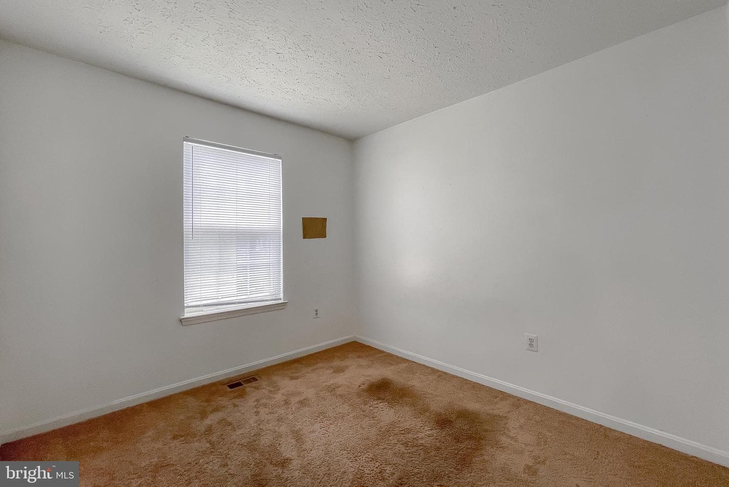 11994 Calico Woods Place photo 31
