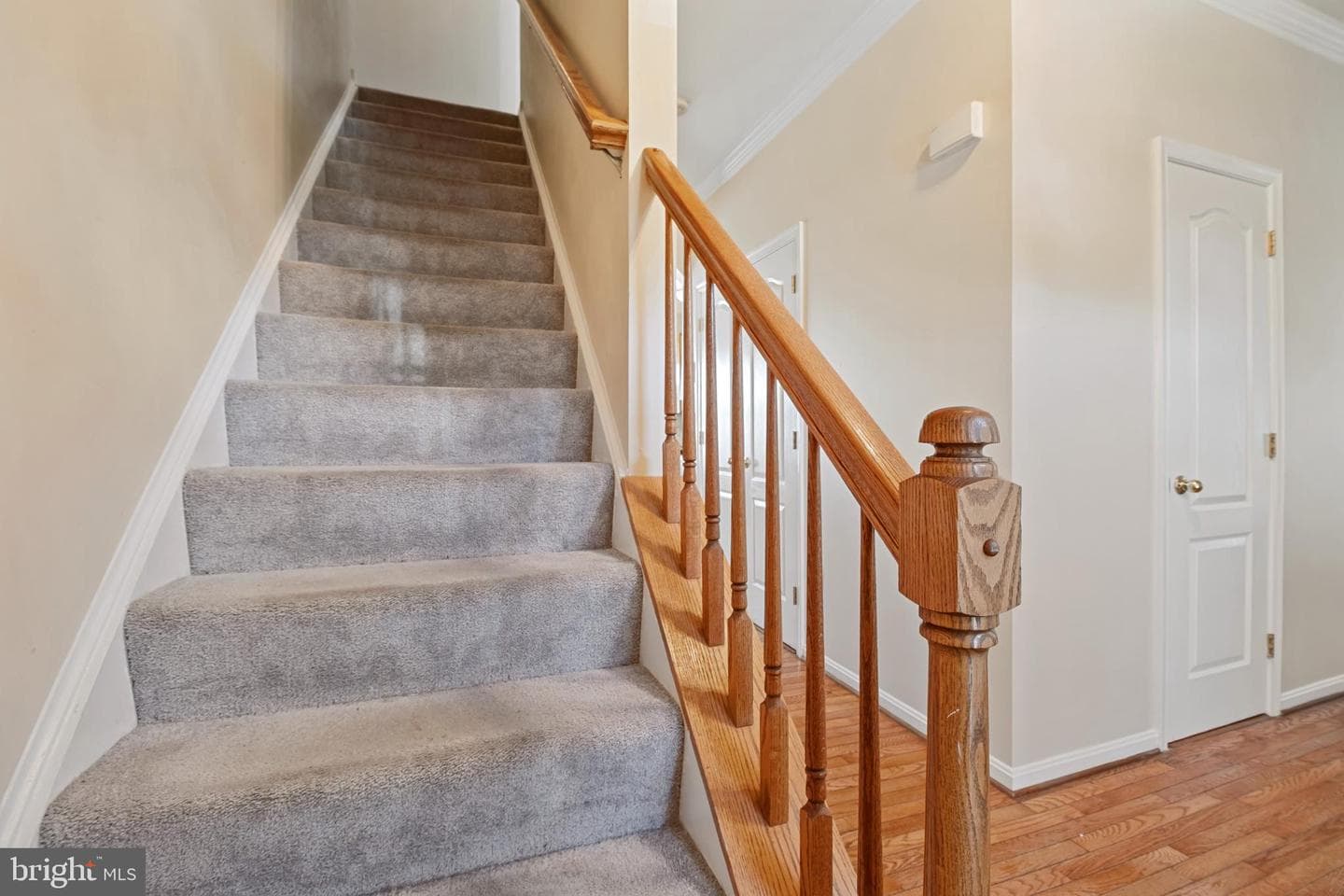 11640 Cygnet Drive photo 3