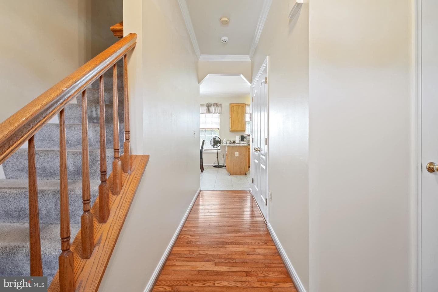 11640 Cygnet Drive photo 4