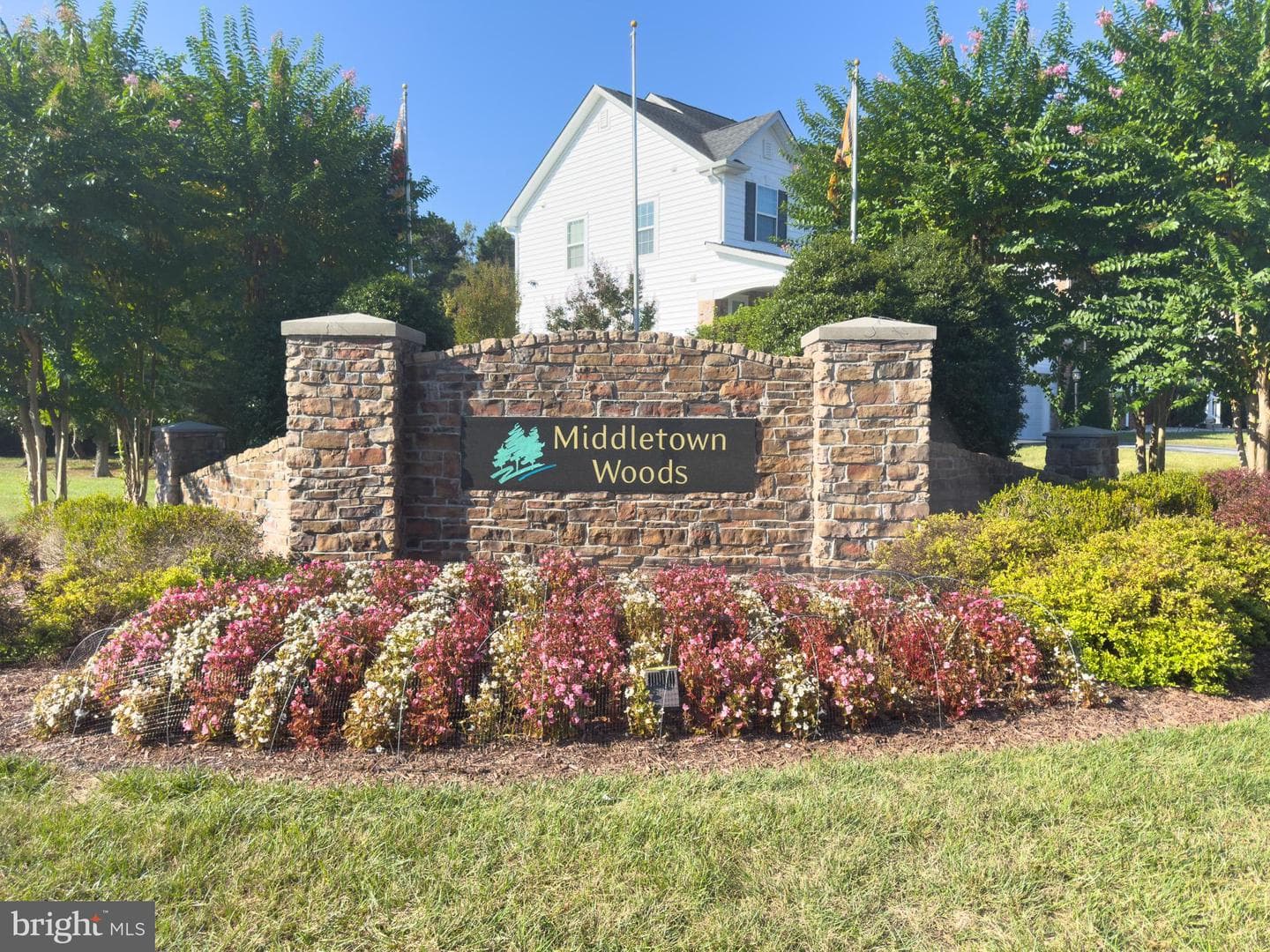 9863 Mannheim Ln photo 35