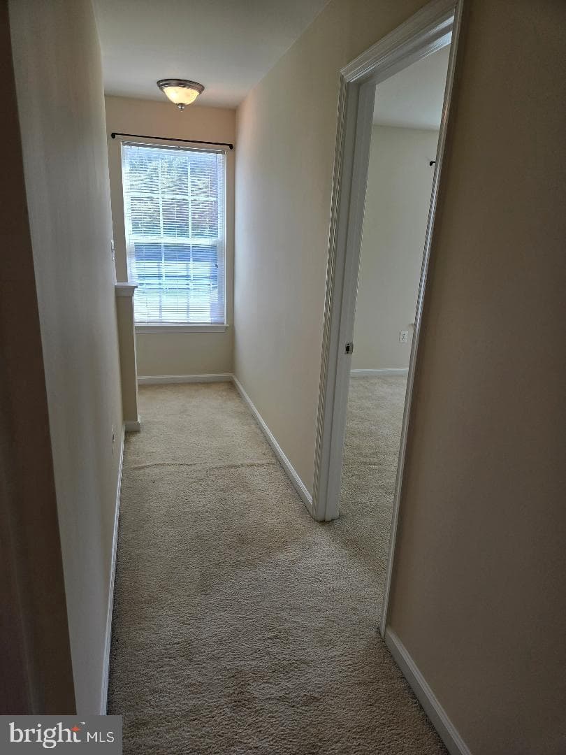 5121 Royal Birkdale Avenue photo 38