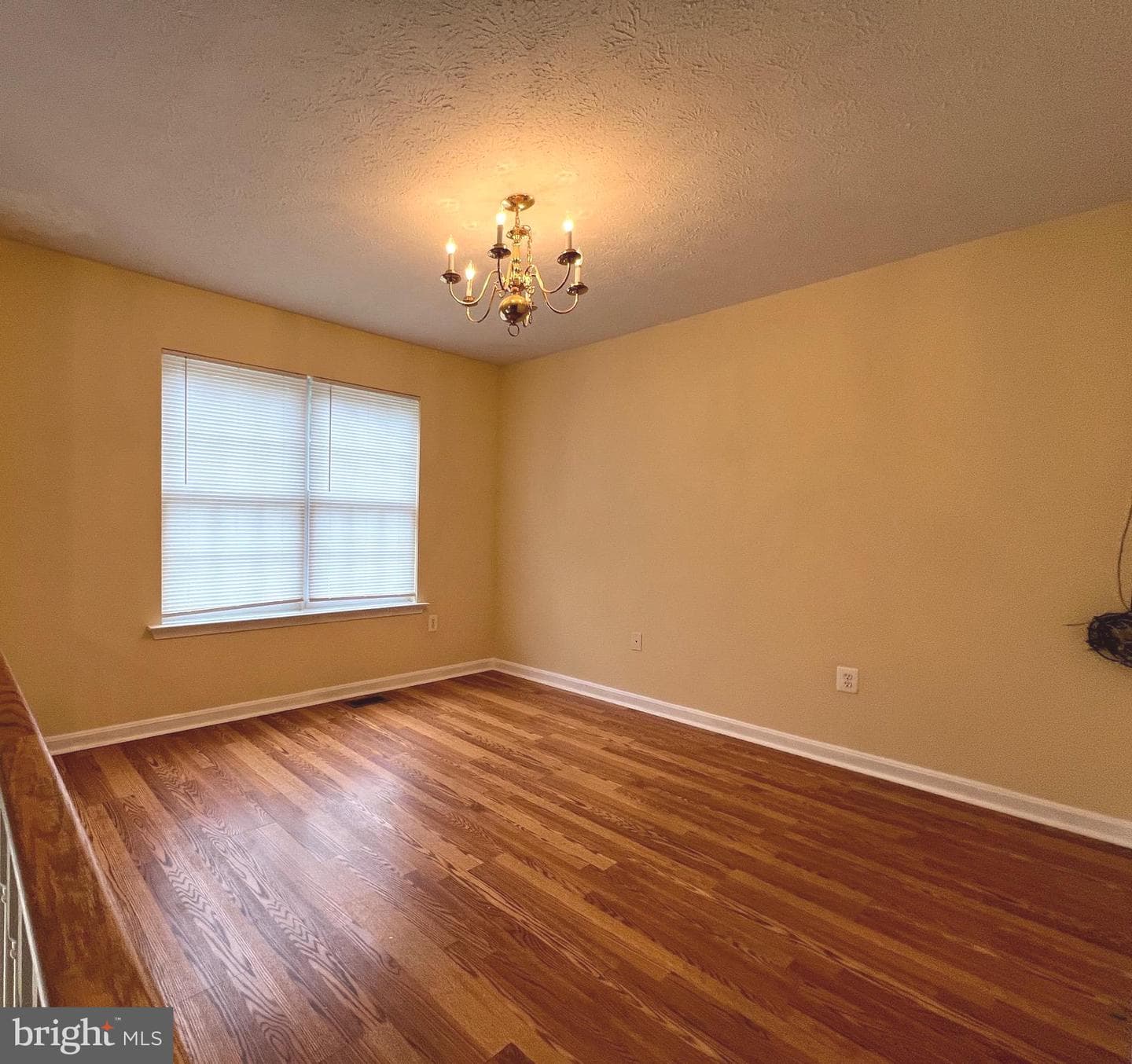 10430 Mark Drive photo 4