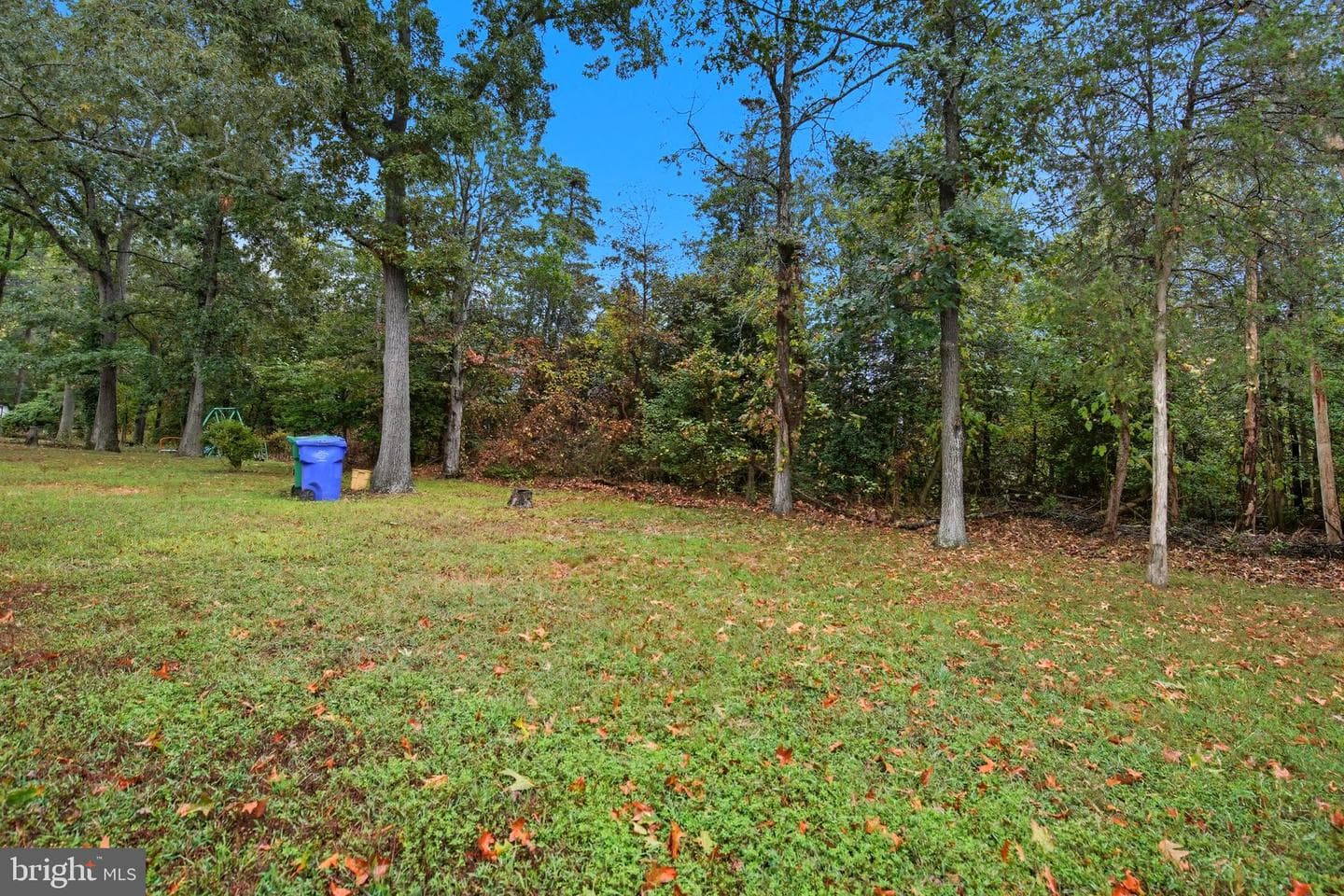 4430 Quillen Circle photo 26