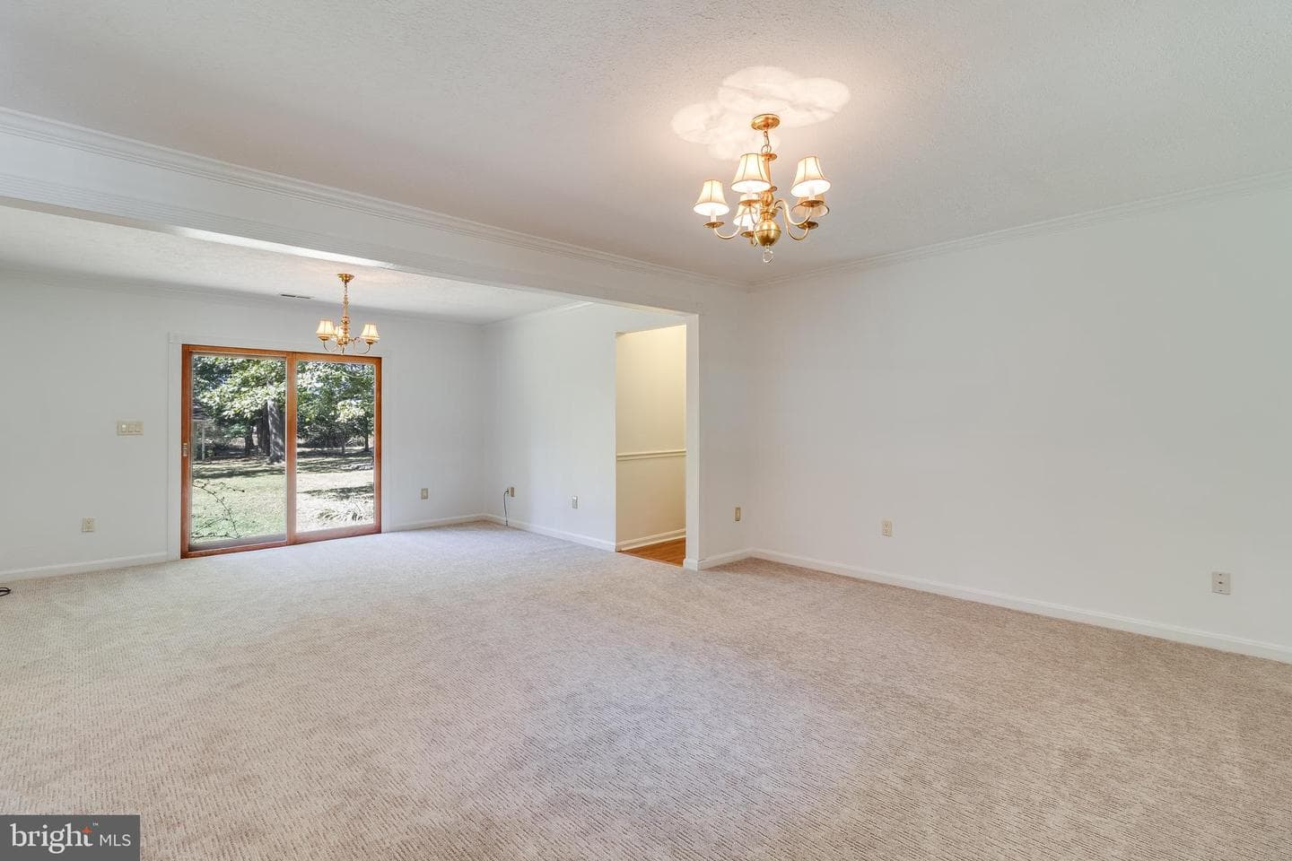 7575 Dolly Drive photo 19