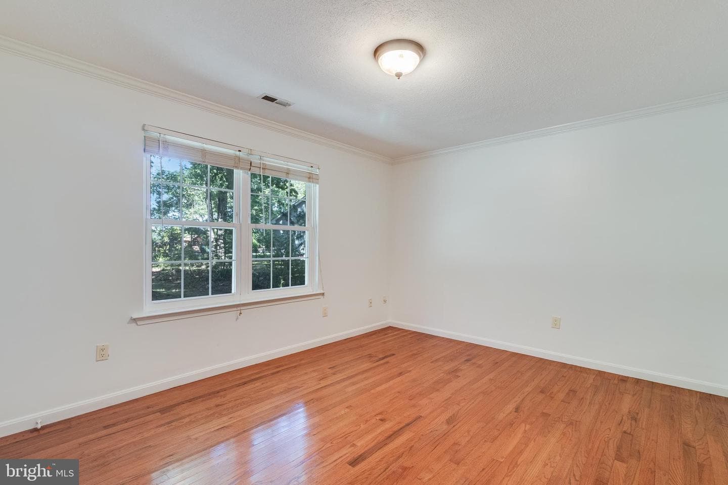 7575 Dolly Drive photo 7