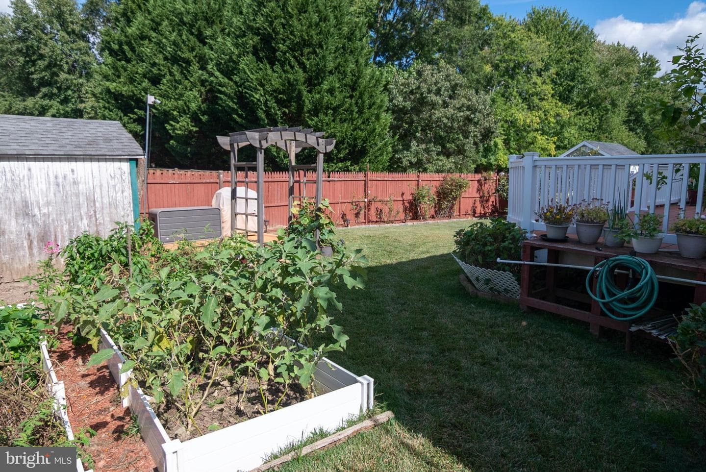10974 Stella Court photo 29
