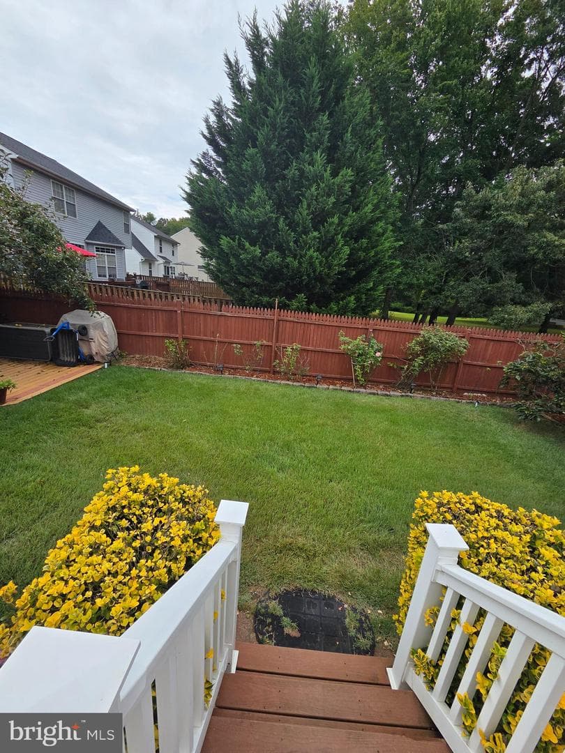 10974 Stella Court photo 34