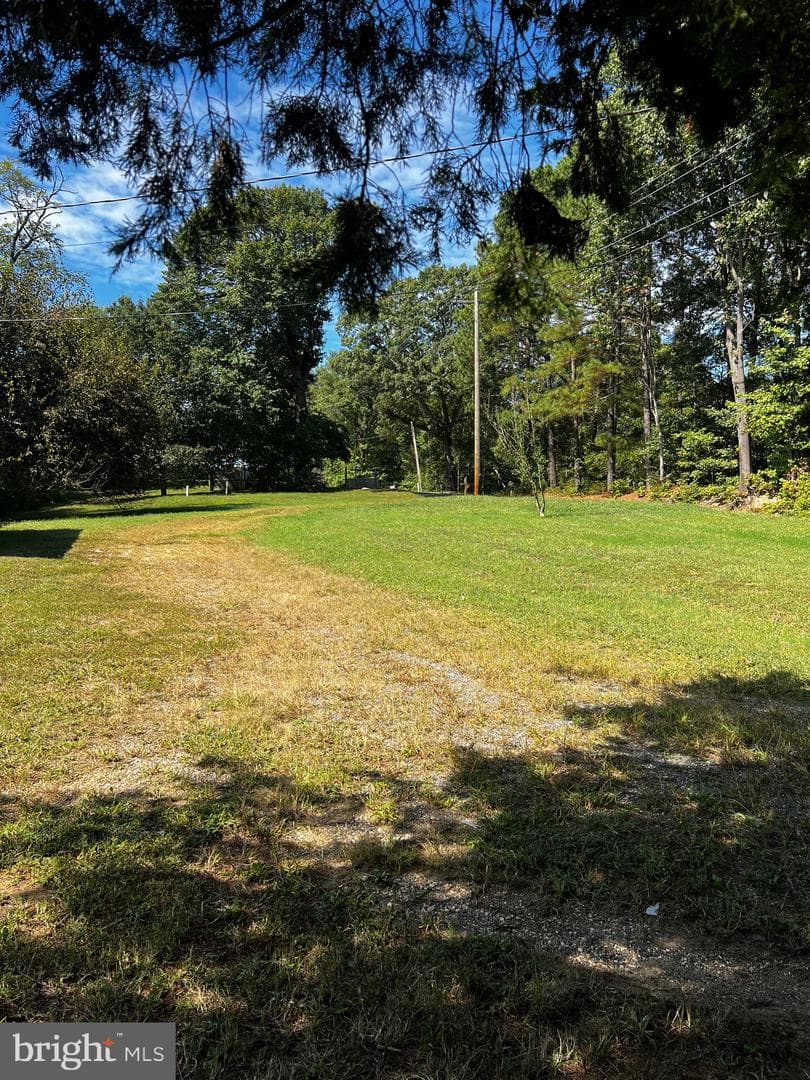 Mt Victoria Road photo 29