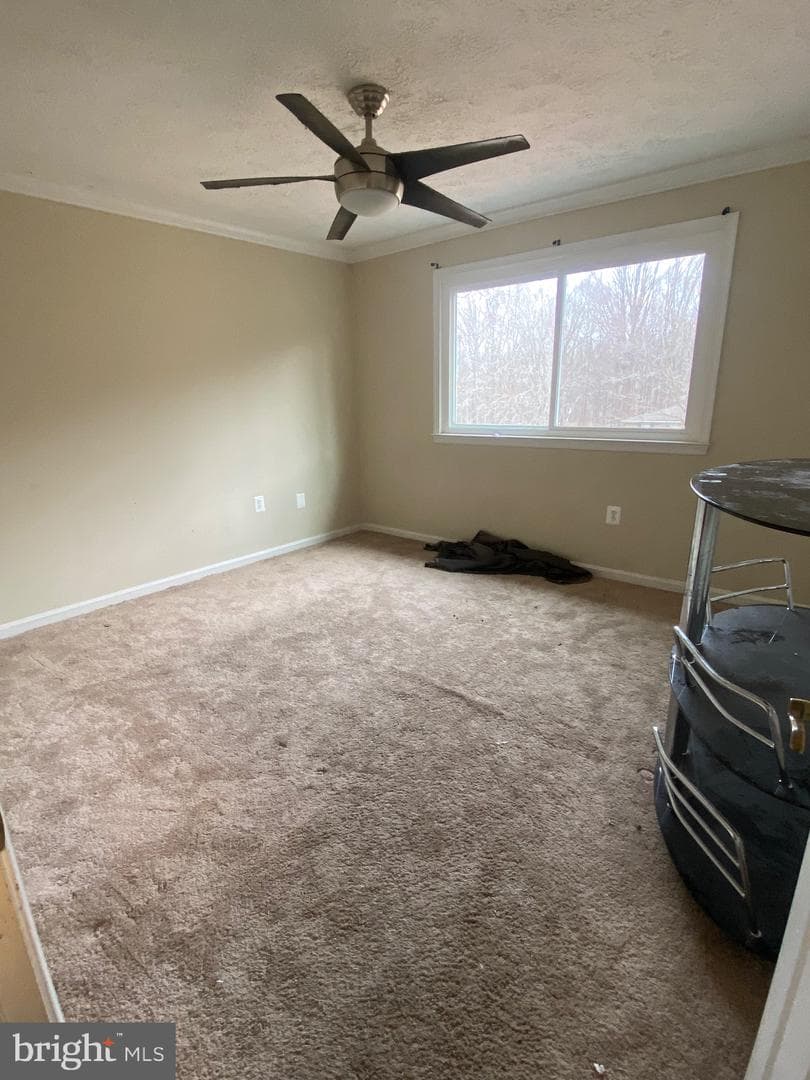 3055 Eutaw Forest Drive photo 10