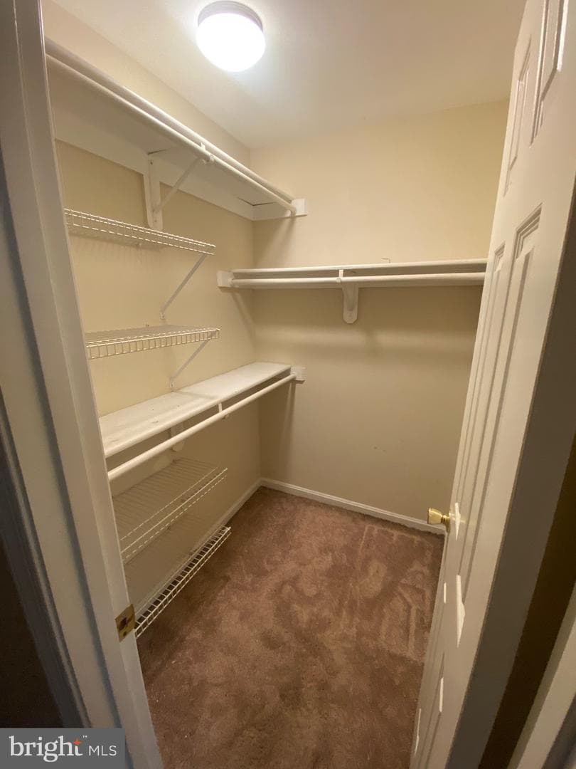 3055 Eutaw Forest Drive photo 4