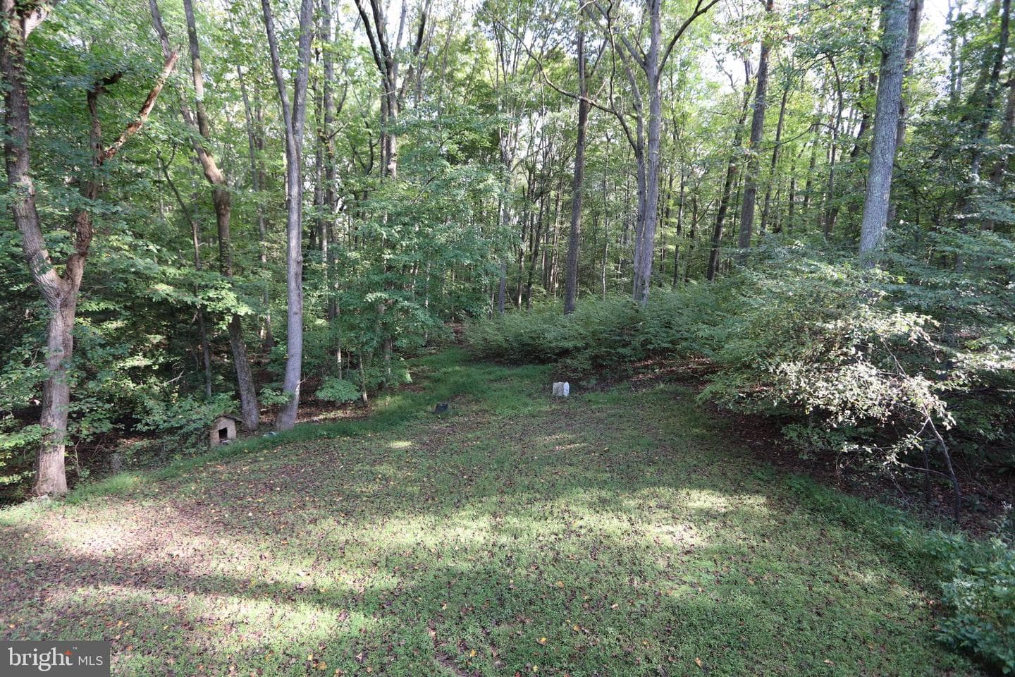 8798 Gunston Road photo 48