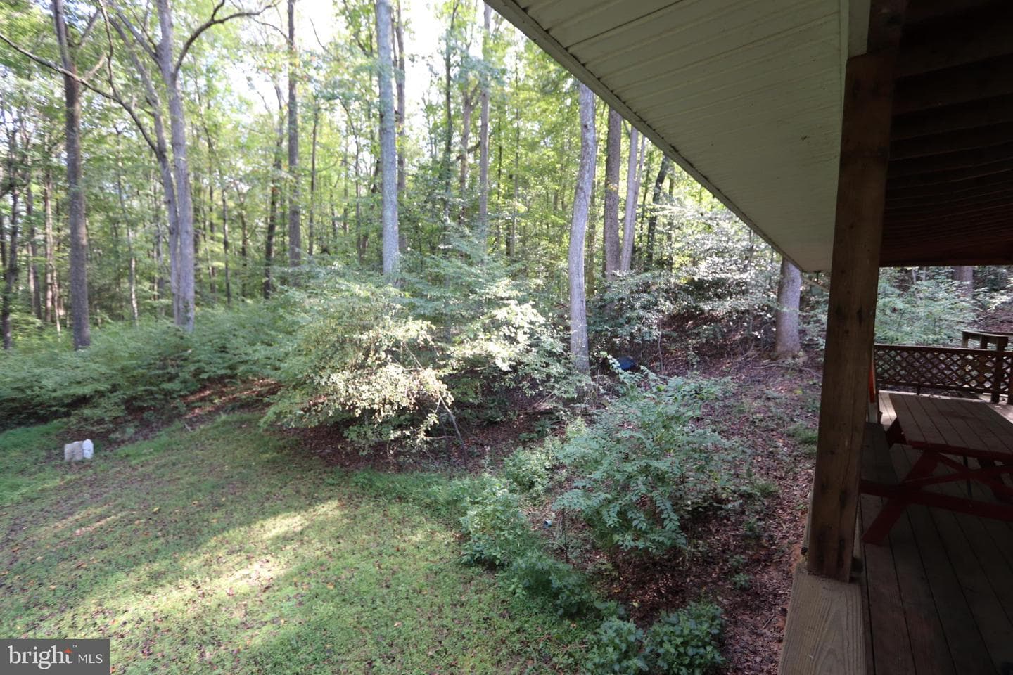 8798 Gunston Road photo 49