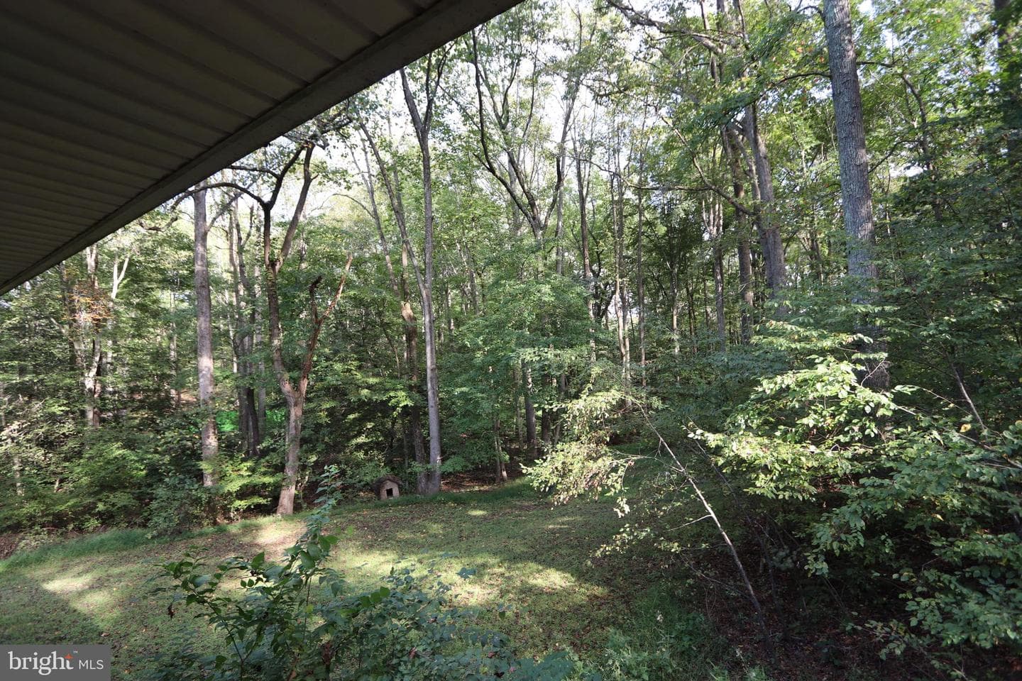 8798 Gunston Road photo 52