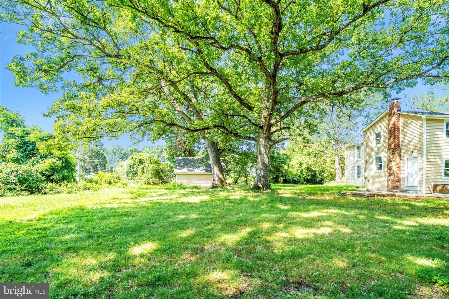 21 Mattingly Avenue photo 34