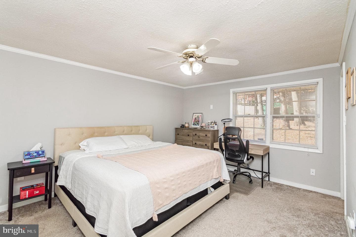 4208 Sandwich Circle photo 23