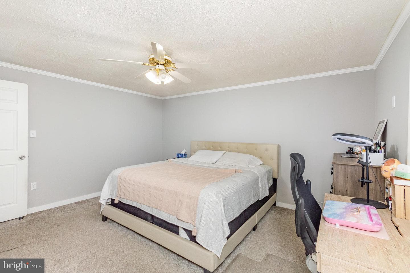 4208 Sandwich Circle photo 24