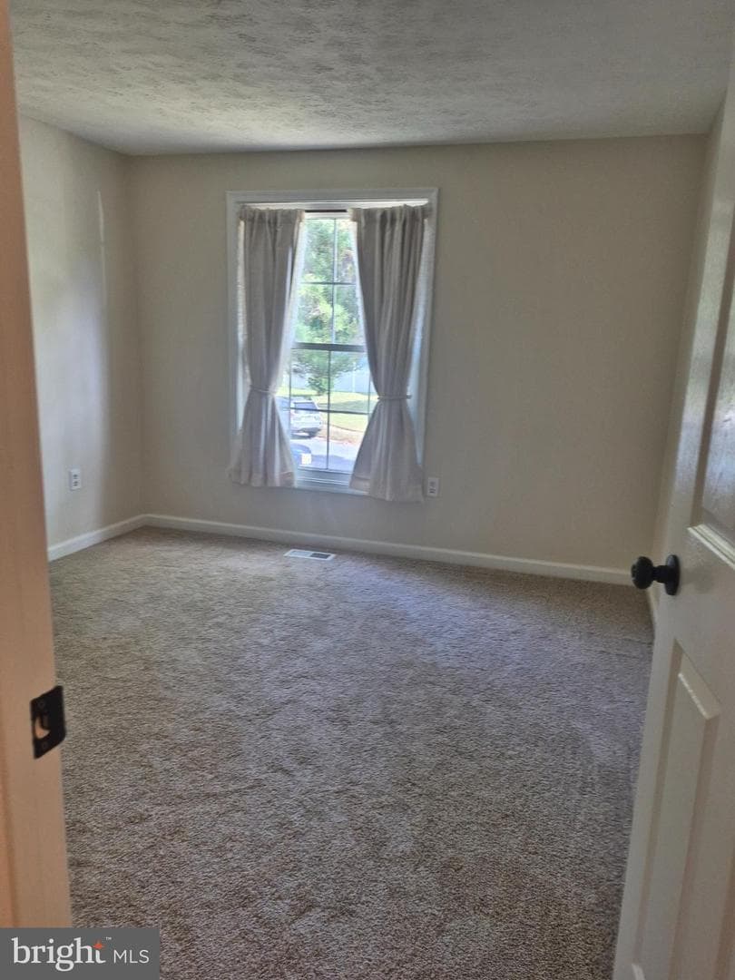 2217 Pinefield Way photo 23