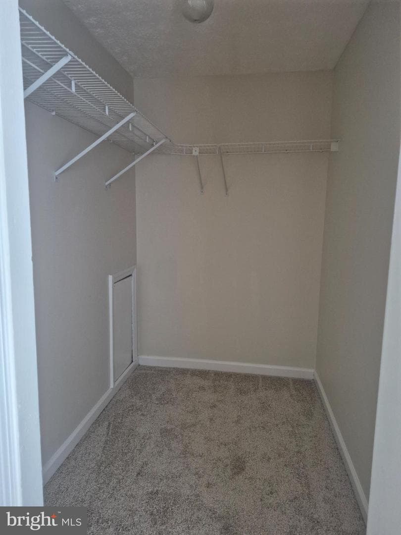 2217 Pinefield Way photo 29