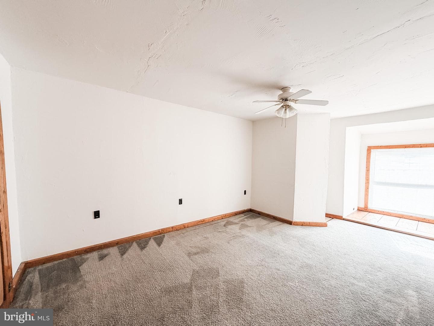 7267 Benedict Avenue photo 22