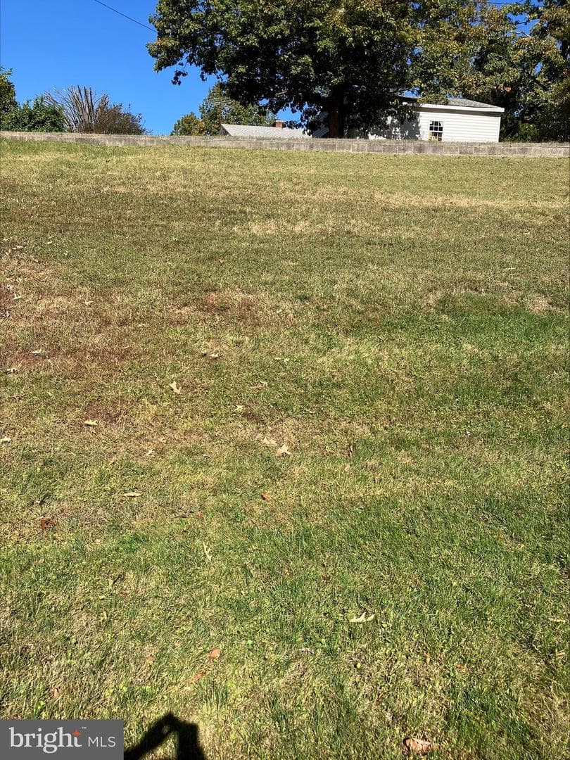 105 Bland Drive photo 6