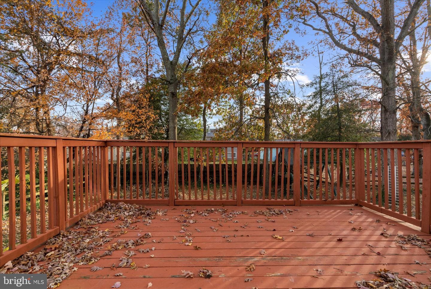 3902 Newman Court photo 30