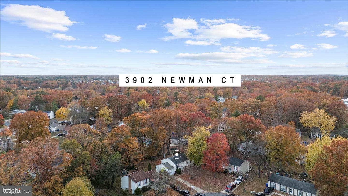 3902 Newman Court photo 38