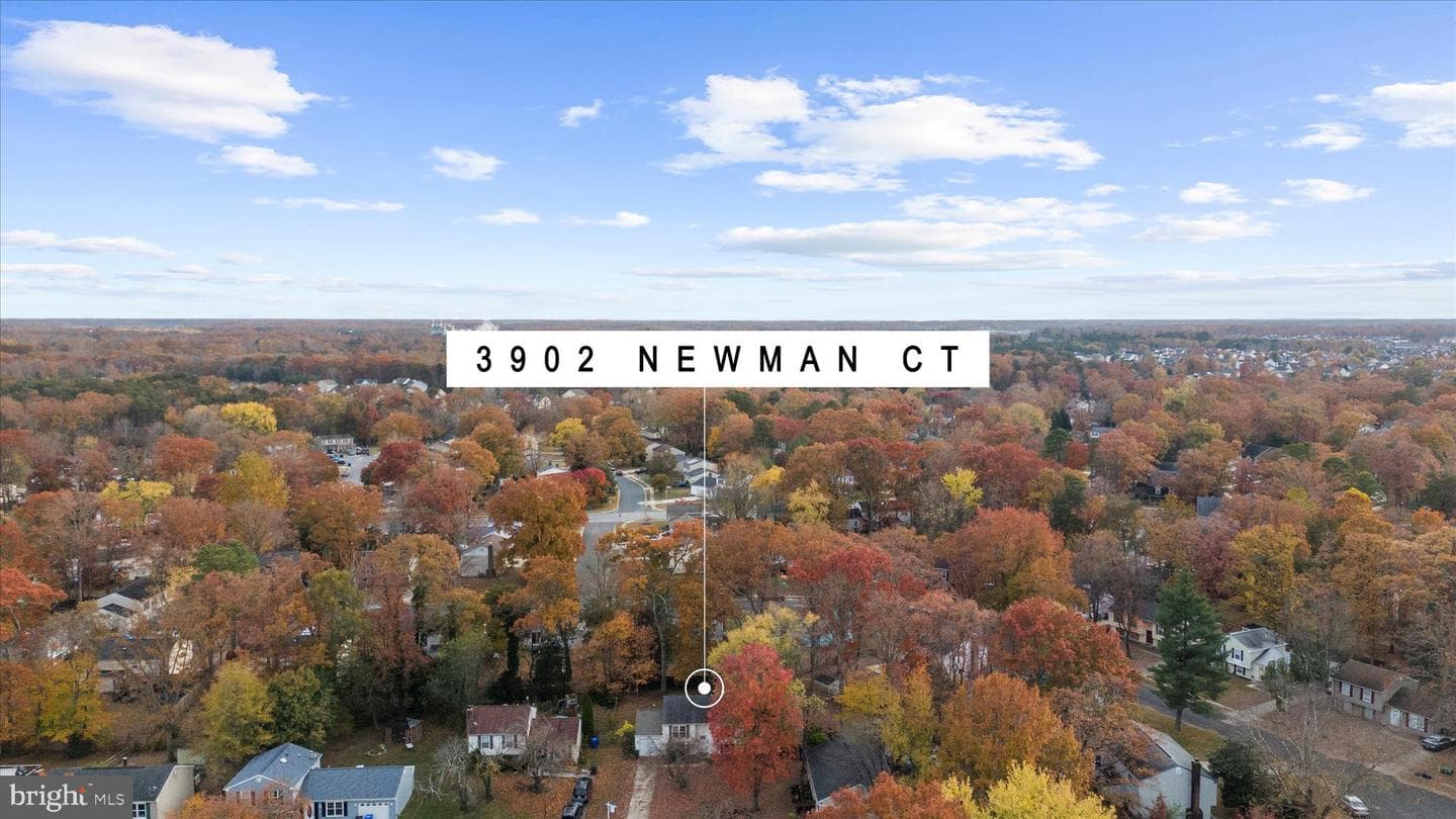 3902 Newman Court photo 39