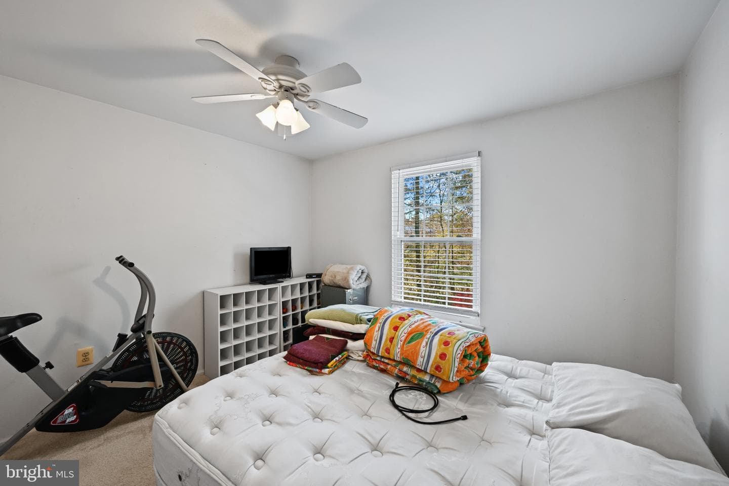 3893 Light Arms Place photo 17