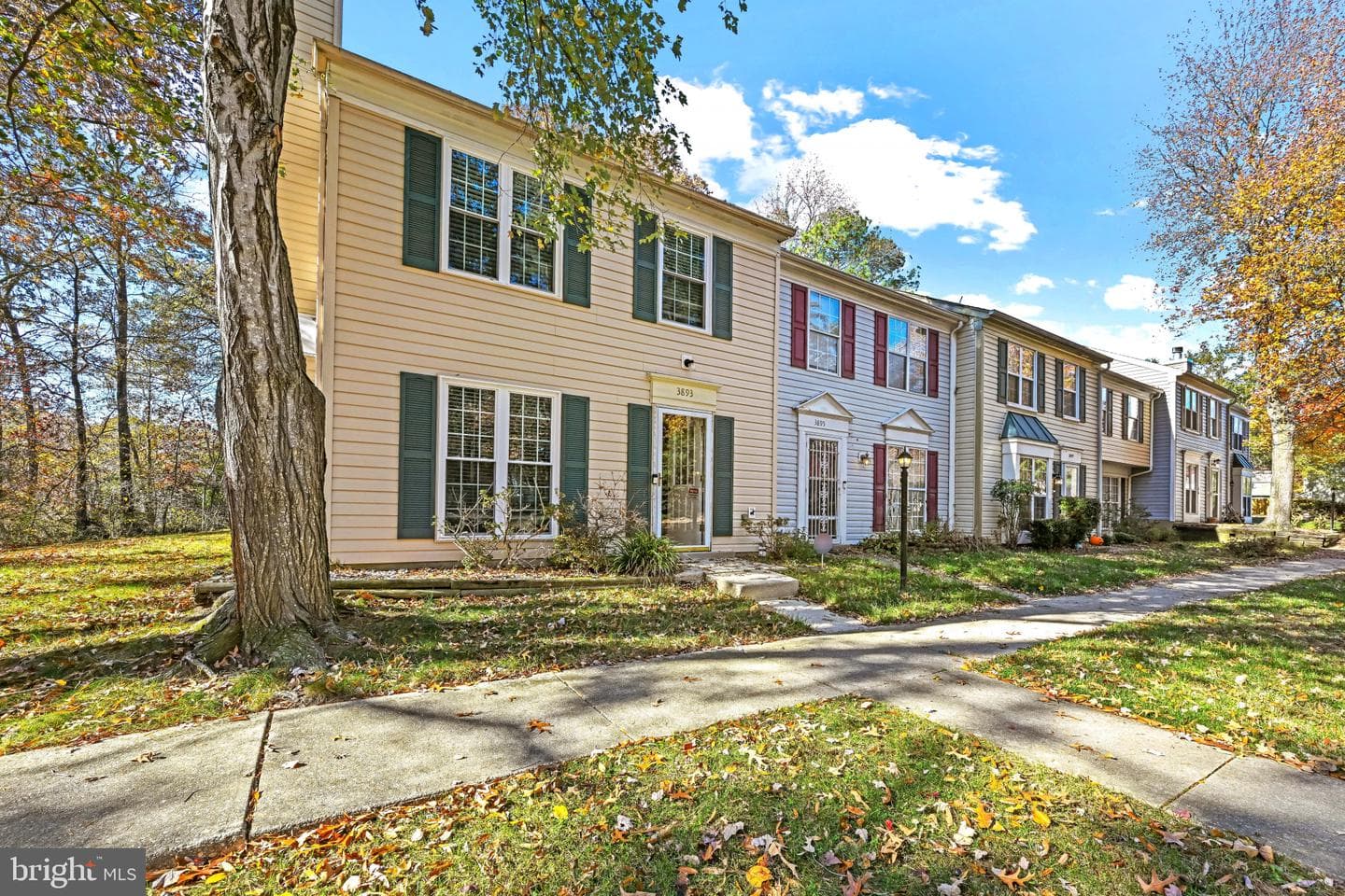 3893 Light Arms Place photo 2