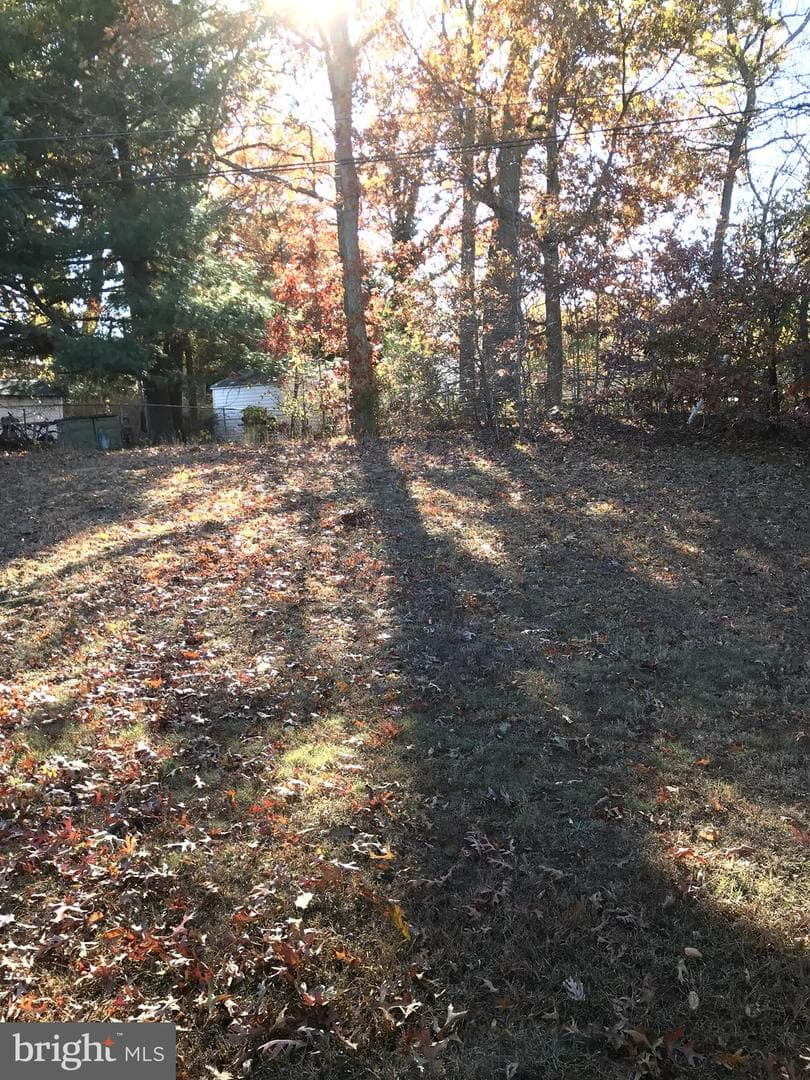 137 Garner Avenue photo 23