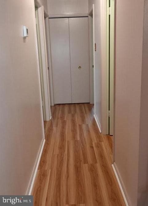 137 Garner Avenue photo 25