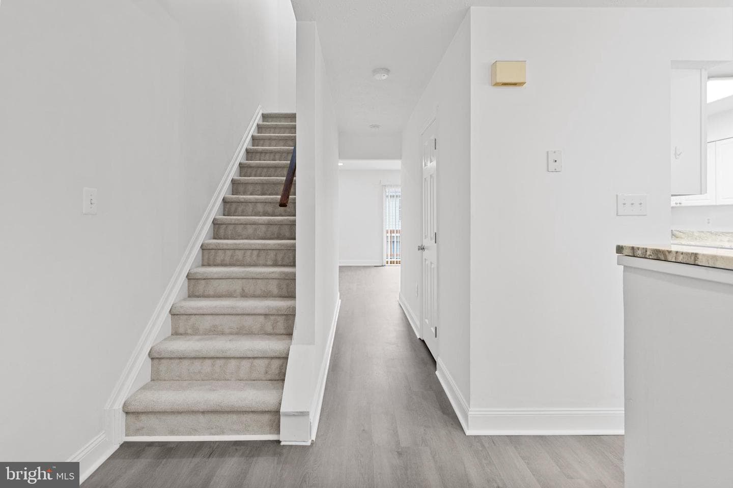 105 Palmetto Court photo 23