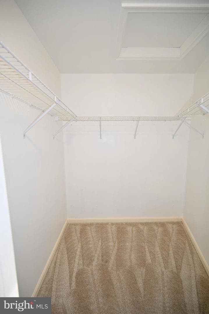 2800 Harrison Court photo 52